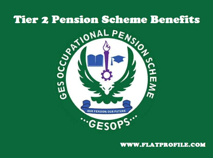 Tier 2 Pension Scheme Benefits 5 Easy Steps To Claim