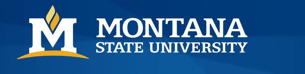 Montana State University D2L | Brightspace - Login Now